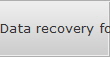 Data recovery for Gastonia data